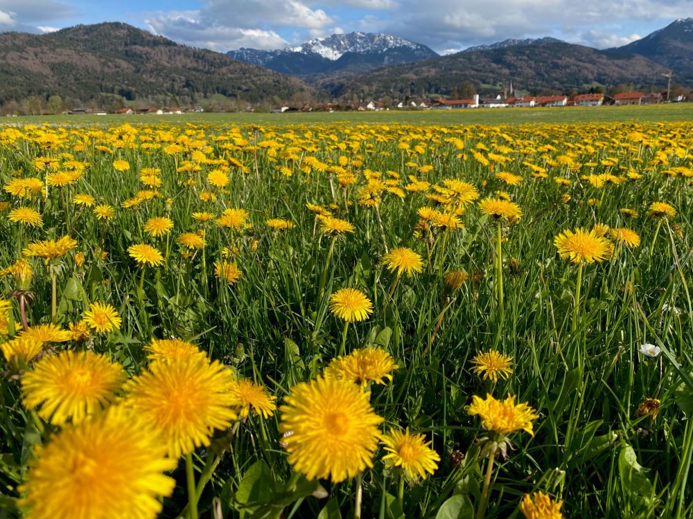 Wegbilder Benediktbeuern